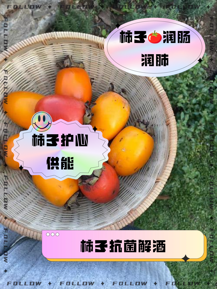 柿子的功效和作用是什么