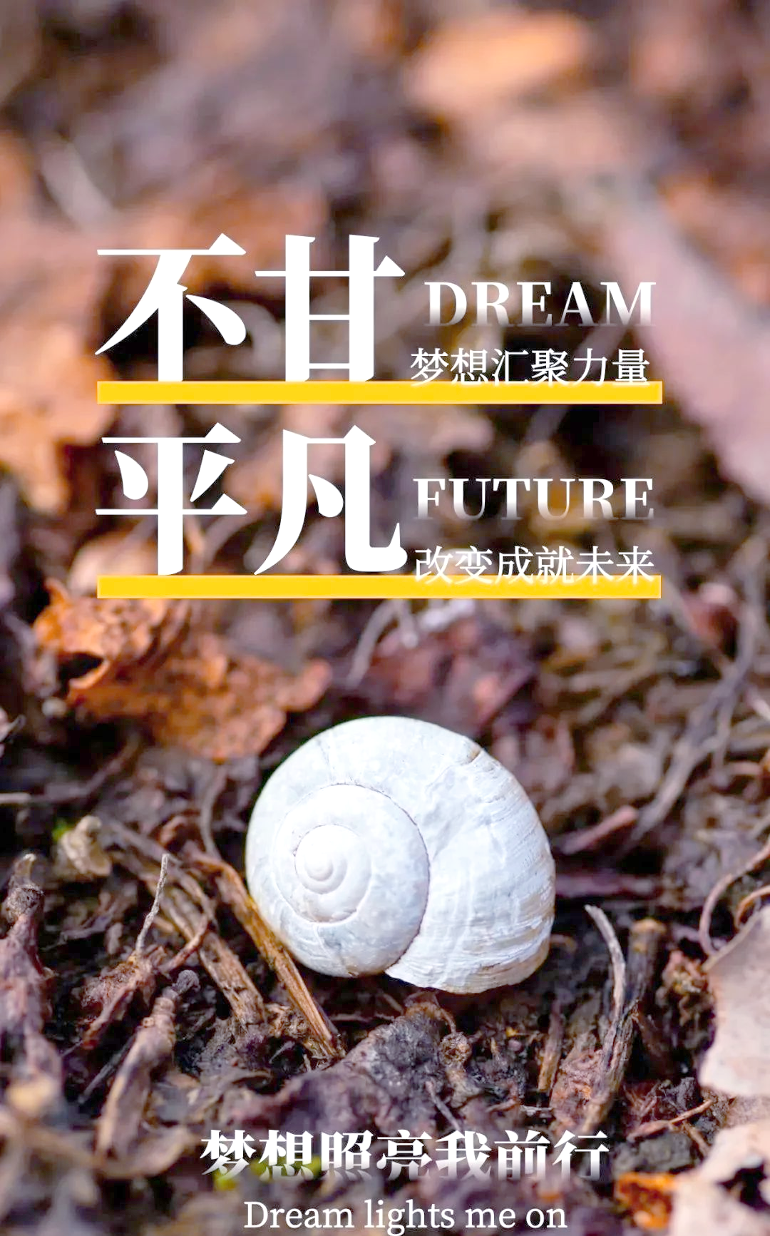 激励人心的句子2019122212万阅读