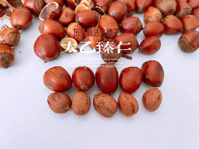 榛仁是什么树的果实