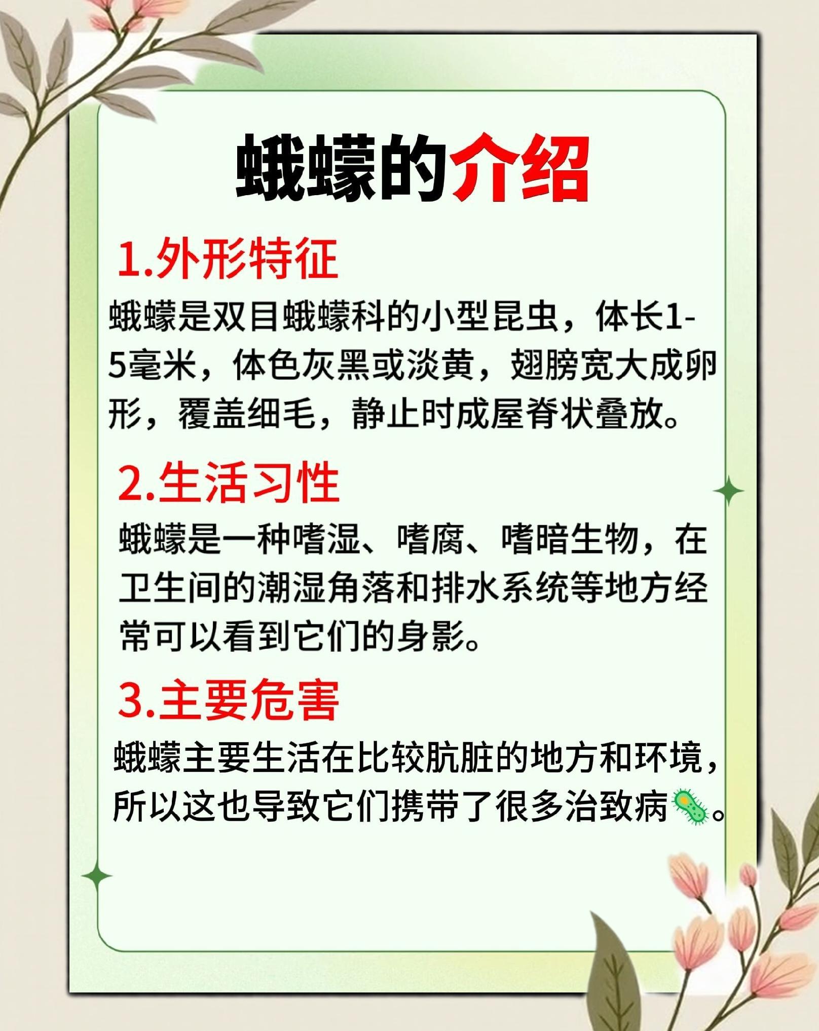 下水道的蛾蚋消灭最有效的方法