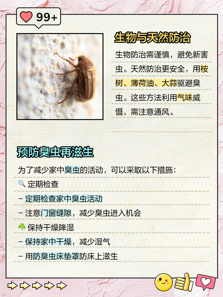 家里有臭虫怎么才能彻底消灭