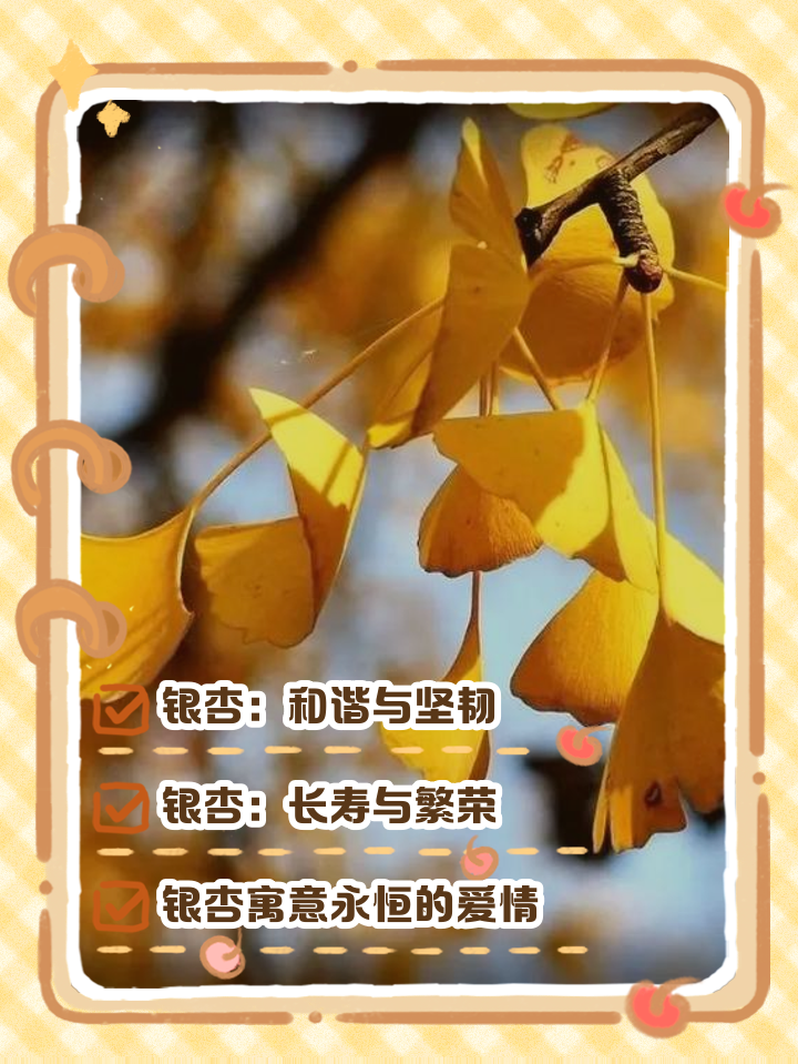 银杏代表什么象征意义四字成语
