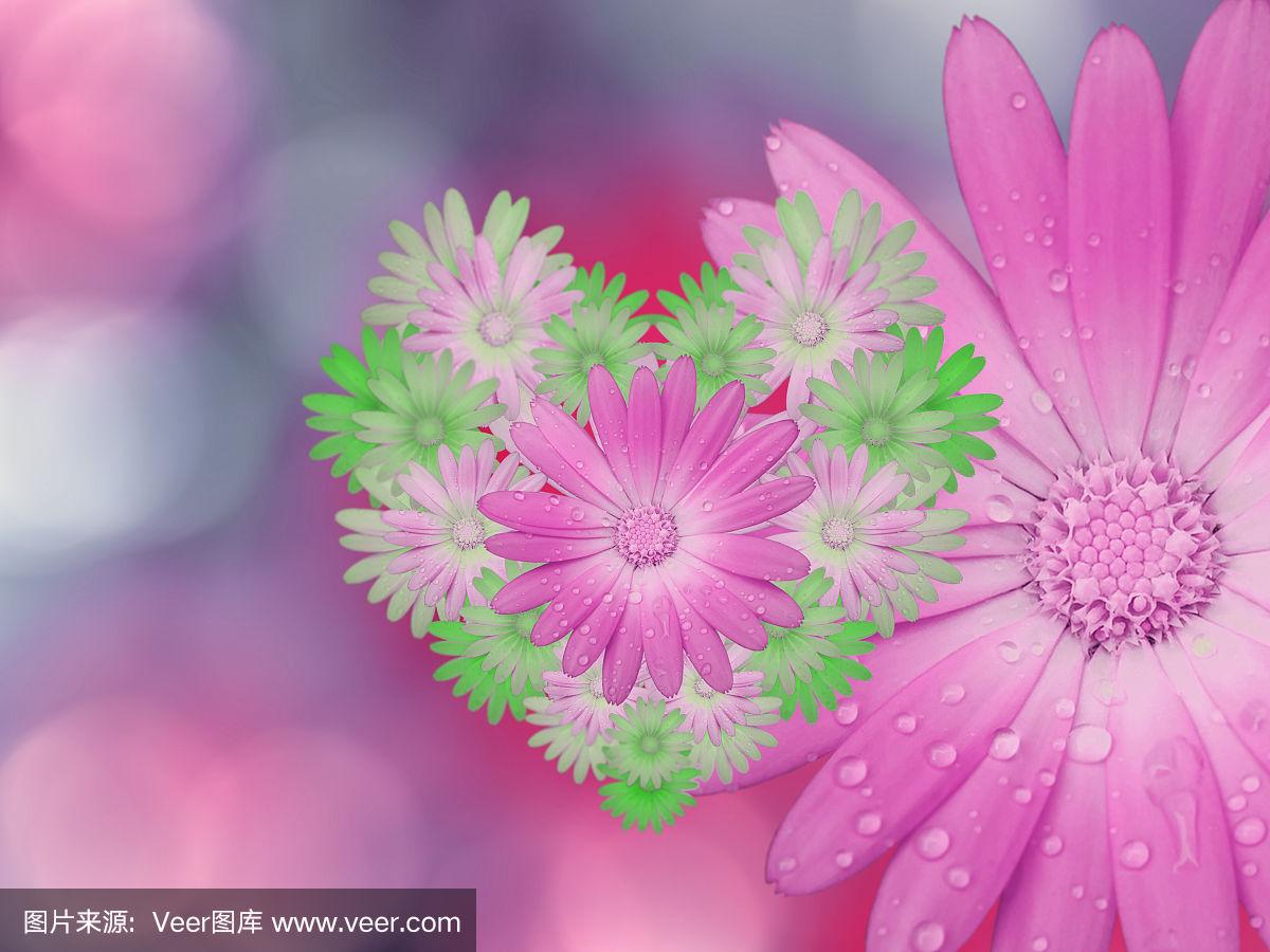 朦胧拼音怎么写的拼