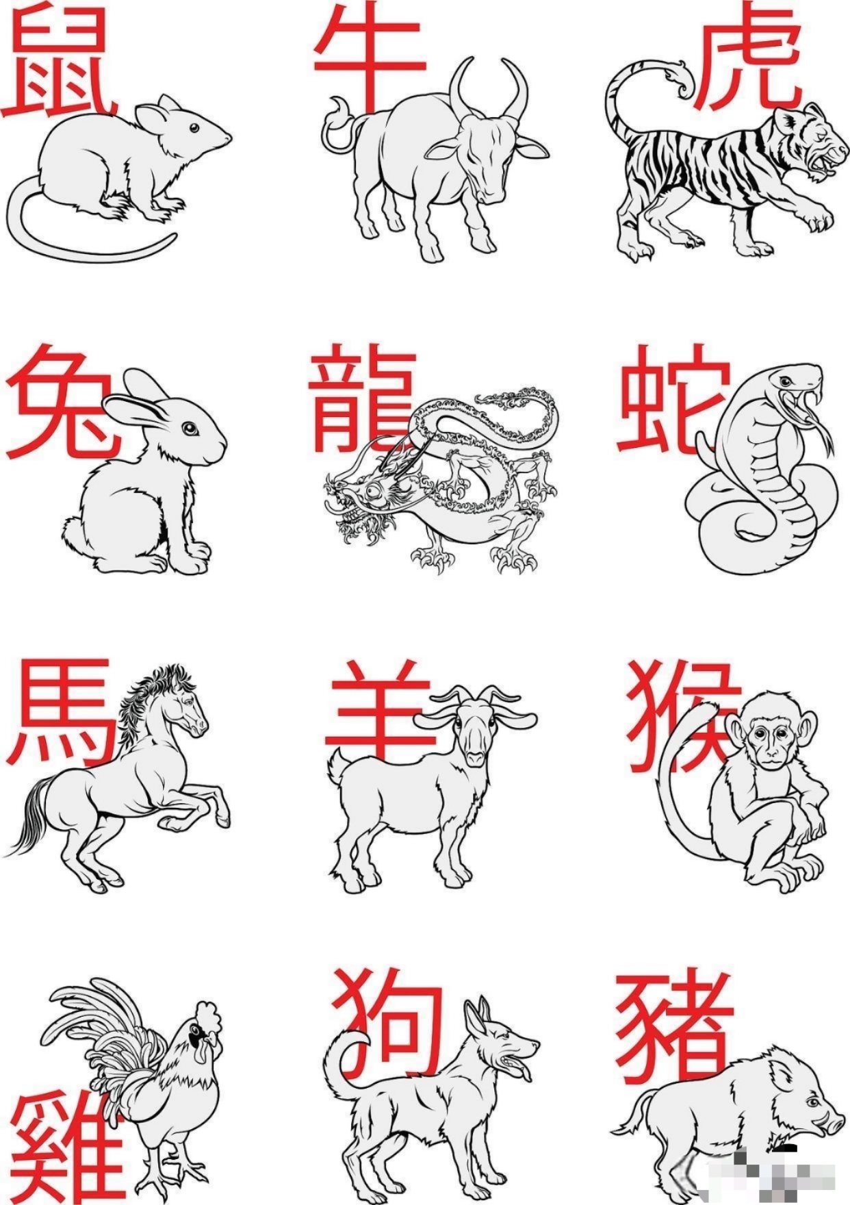 千锤百炼猜一个正确生肖动物是什么