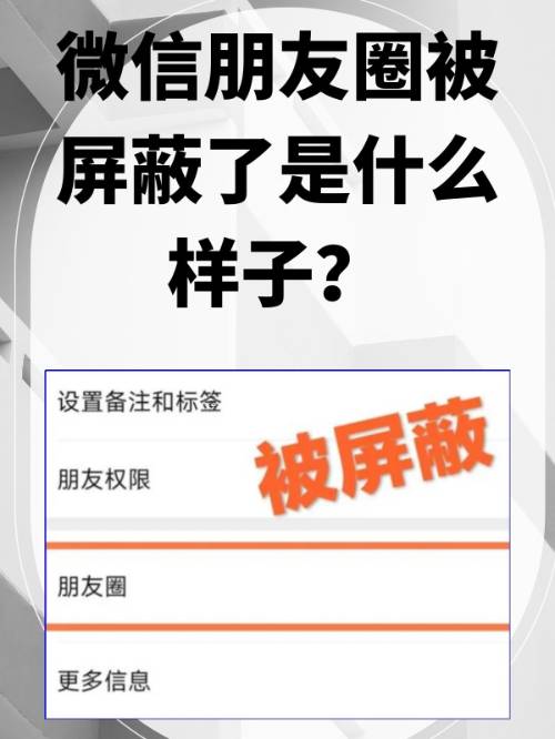 怎么把微信群的信息屏蔽