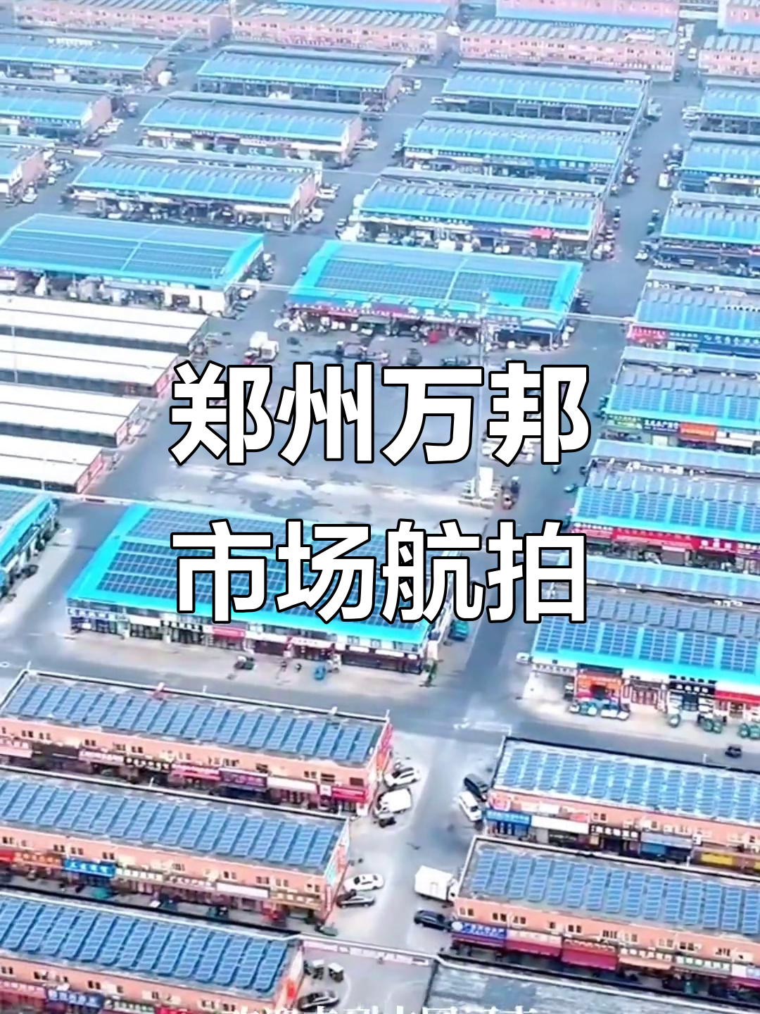 郑州万邦水果批发市场甘蔗价格
