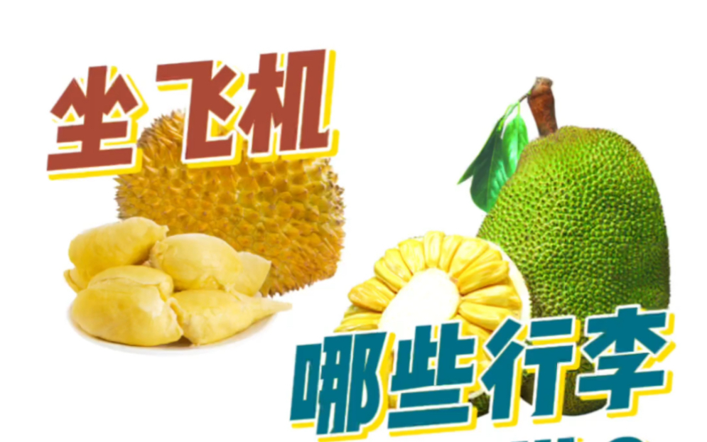 坐飞机能不能带水果上飞机呢