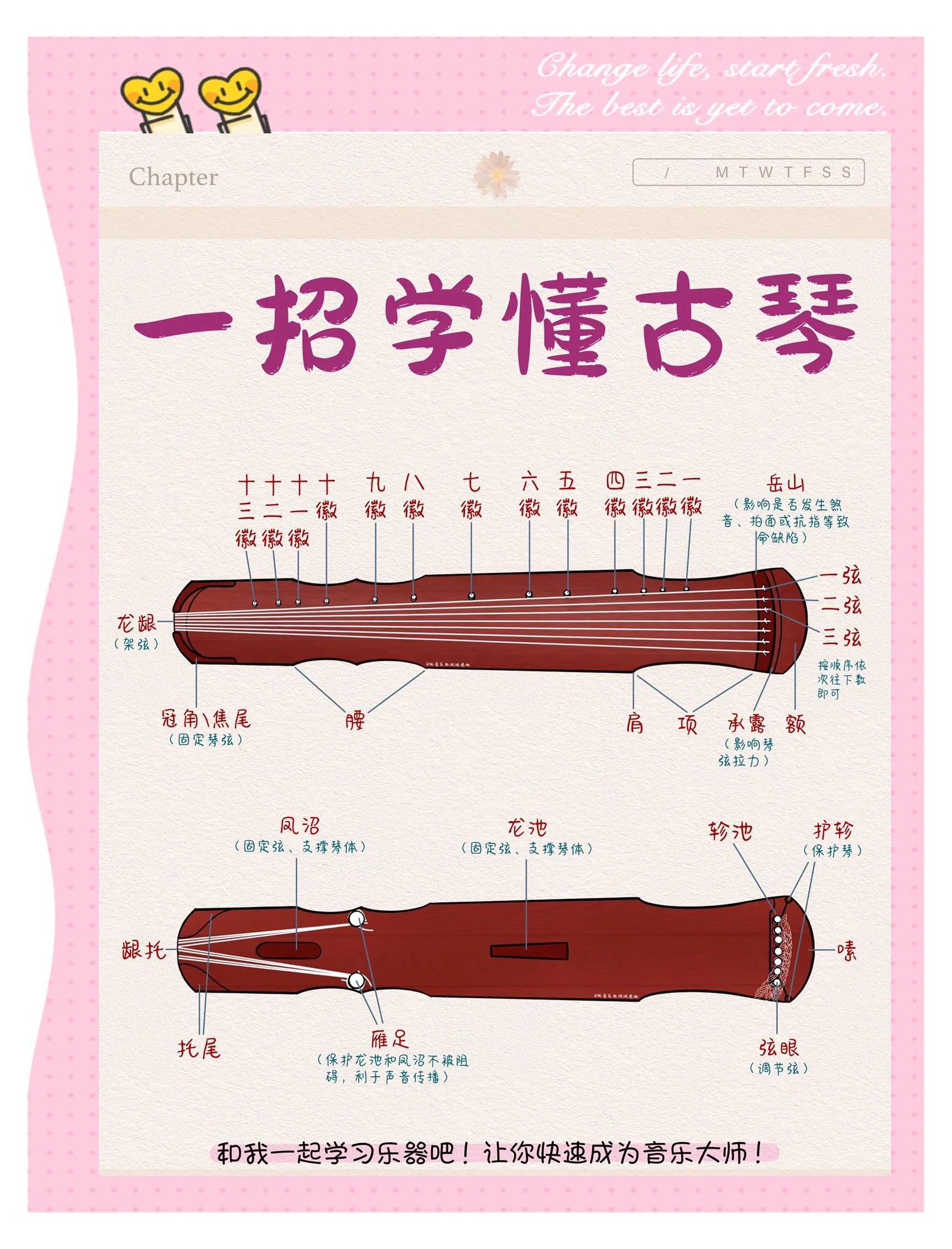 古筝和古琴哪个容易学好