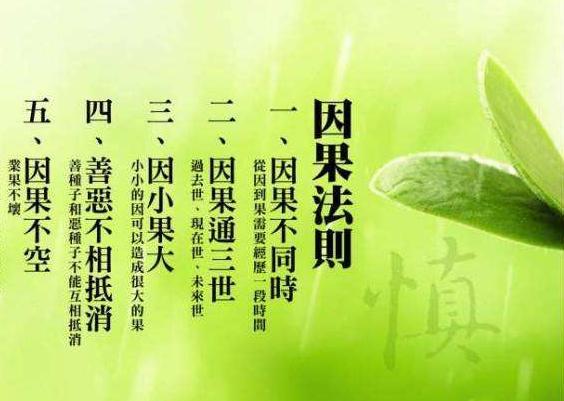 因果报应的句子心情说说