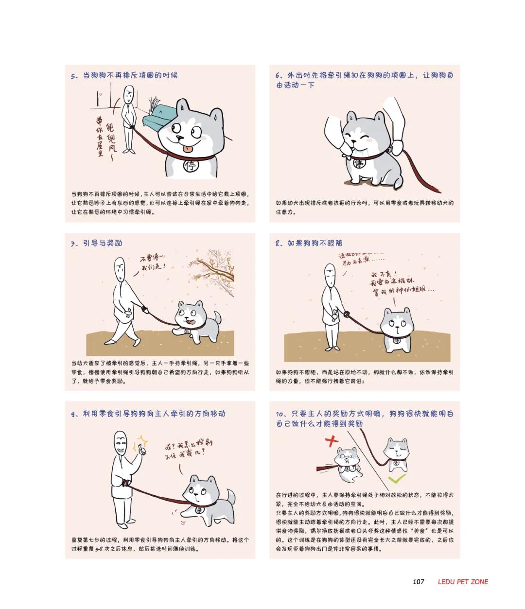 教你如何正确戴牵引绳视频