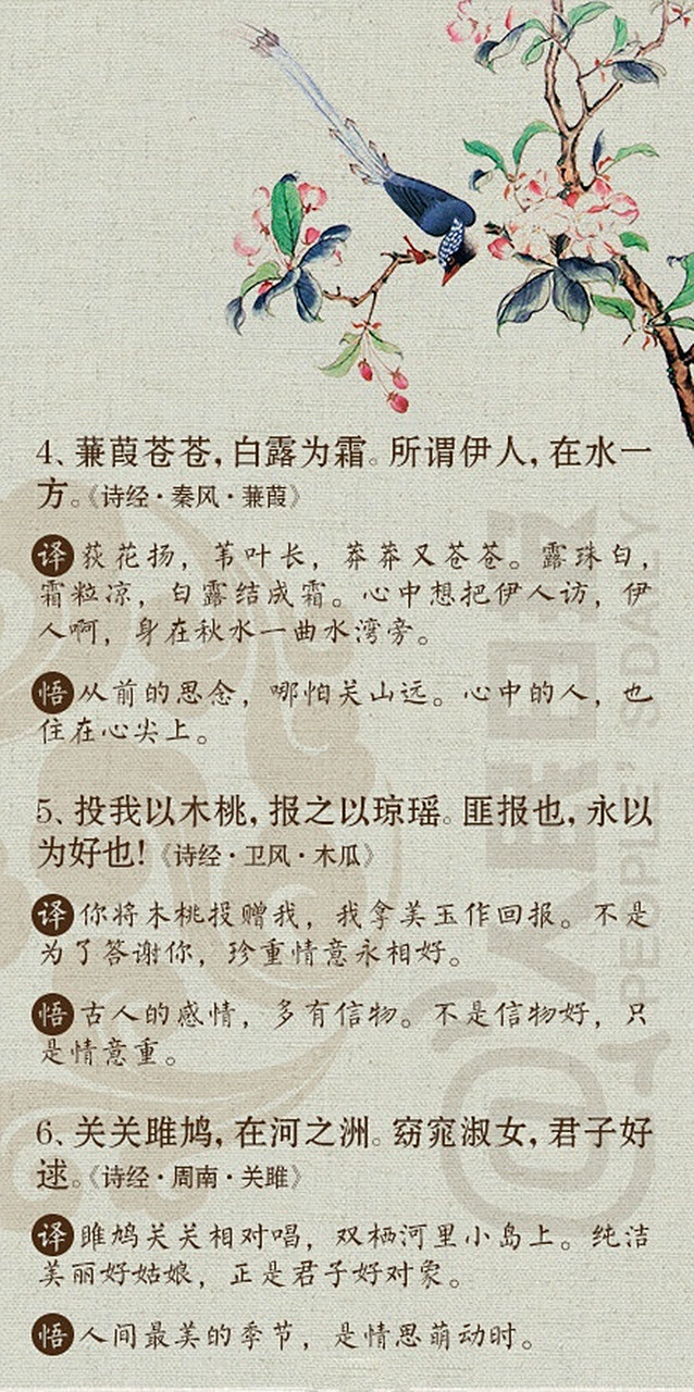 死生契阔,与子成说执子之手,与子偕老!