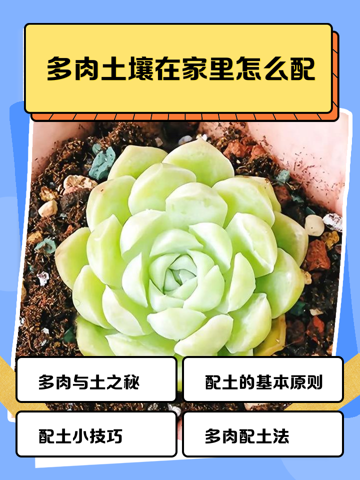 多肉营养土的配制方法是什么呢