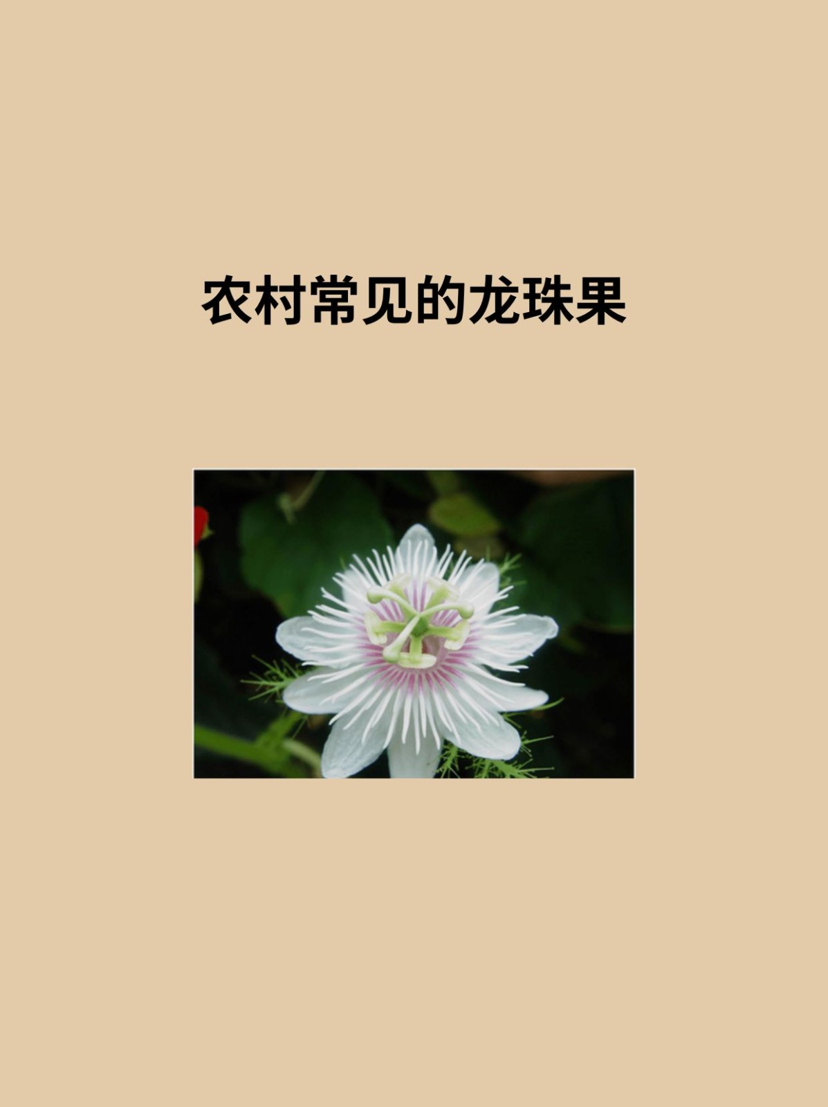 什么叫比拟句