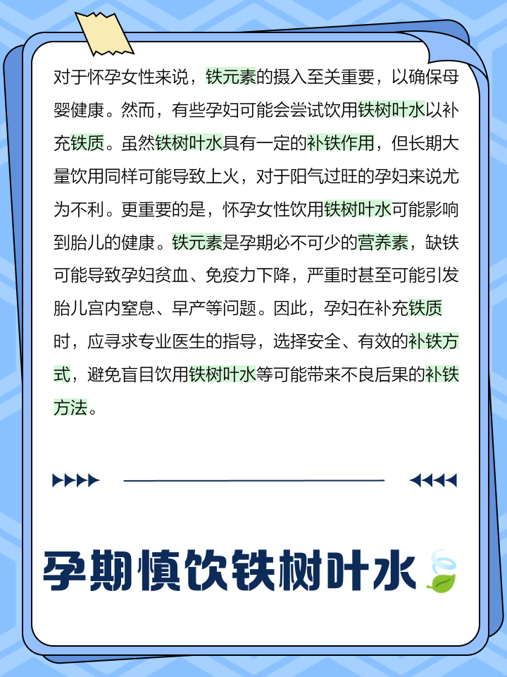 铁树叶子熬水喝有什么功效
