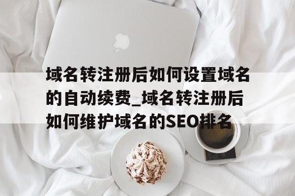 域名转注册后如何设置域名的自动续费_域名转注册后如何维护域名的SEO排名