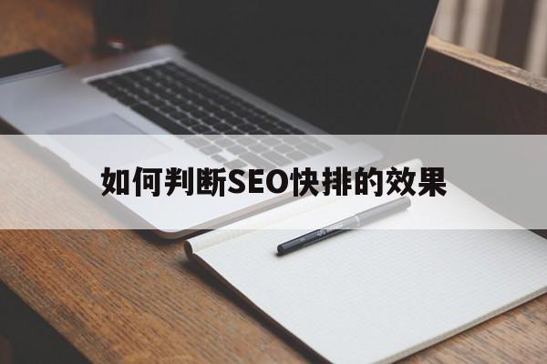 如何判断SEO快排的效果