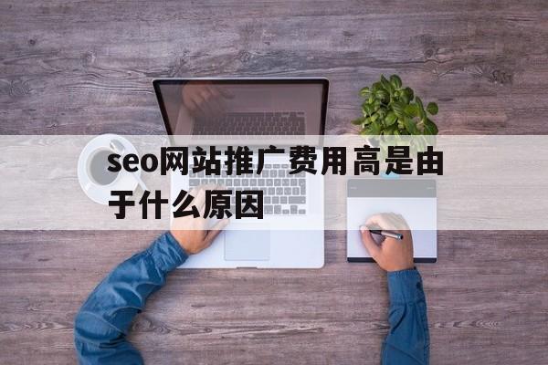 seo网站推广费用高是由于什么原因