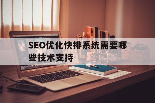 SEO优化快排系统需要哪些技术支持