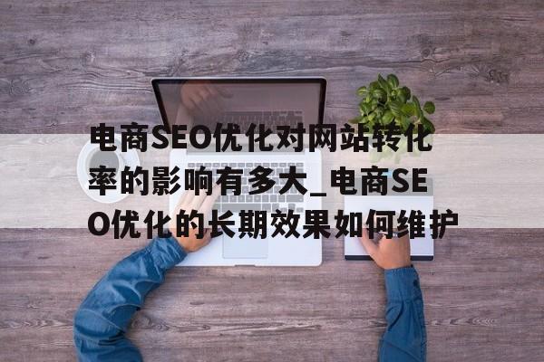 电商SEO优化对网站转化率的影响有多大_电商SEO优化的长期效果如何维护