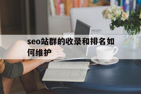 seo站群的收录和排名如何维护