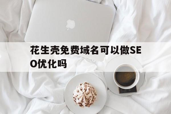 花生壳免费域名可以做SEO优化吗