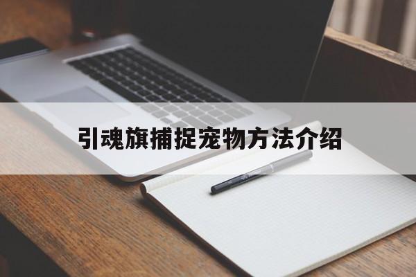 引魂旗抓宠物变大什么情况