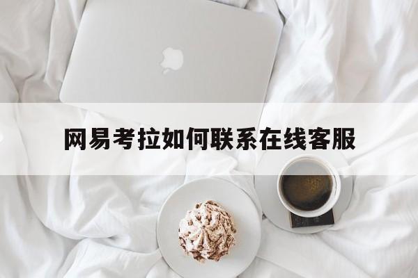 网易考拉如何联系在线客服电话