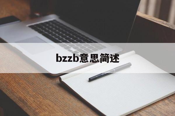 bzzb是什么意思